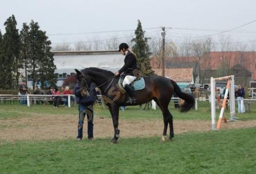LovasPiac.hu