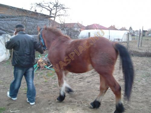 LovasPiac.hu