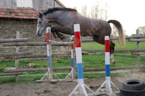 LovasPiac.hu
