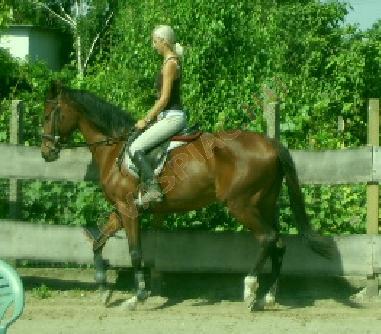 LovasPiac.hu