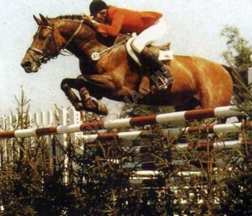 LovasPiac.hu