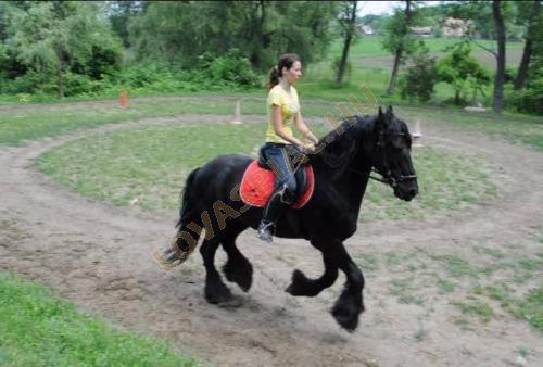 LovasPiac.hu