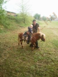 LovasPiac.hu