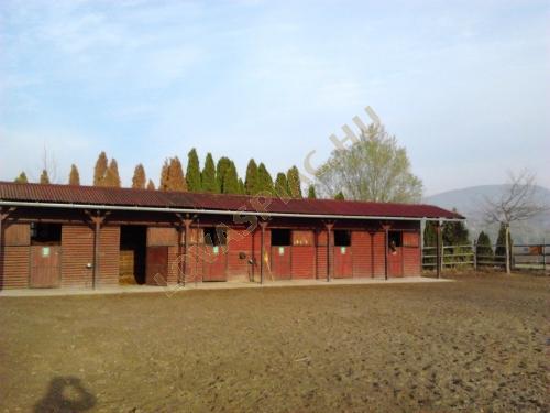 LovasPiac.hu