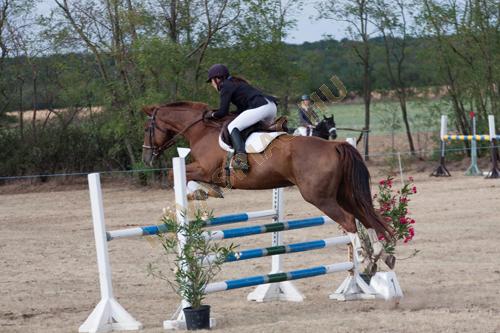 LovasPiac.hu