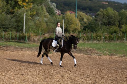 LovasPiac.hu