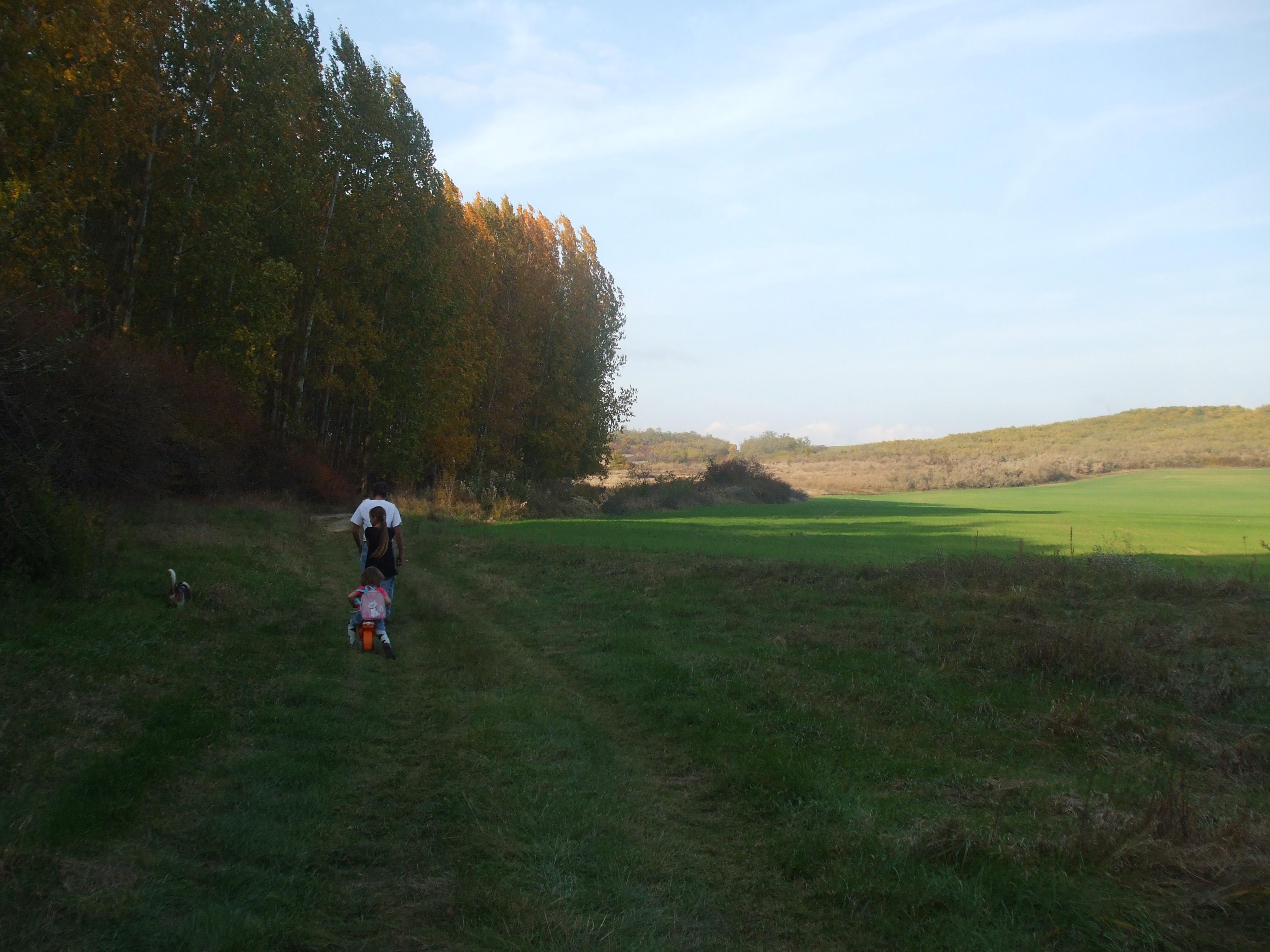LovasPiac.hu