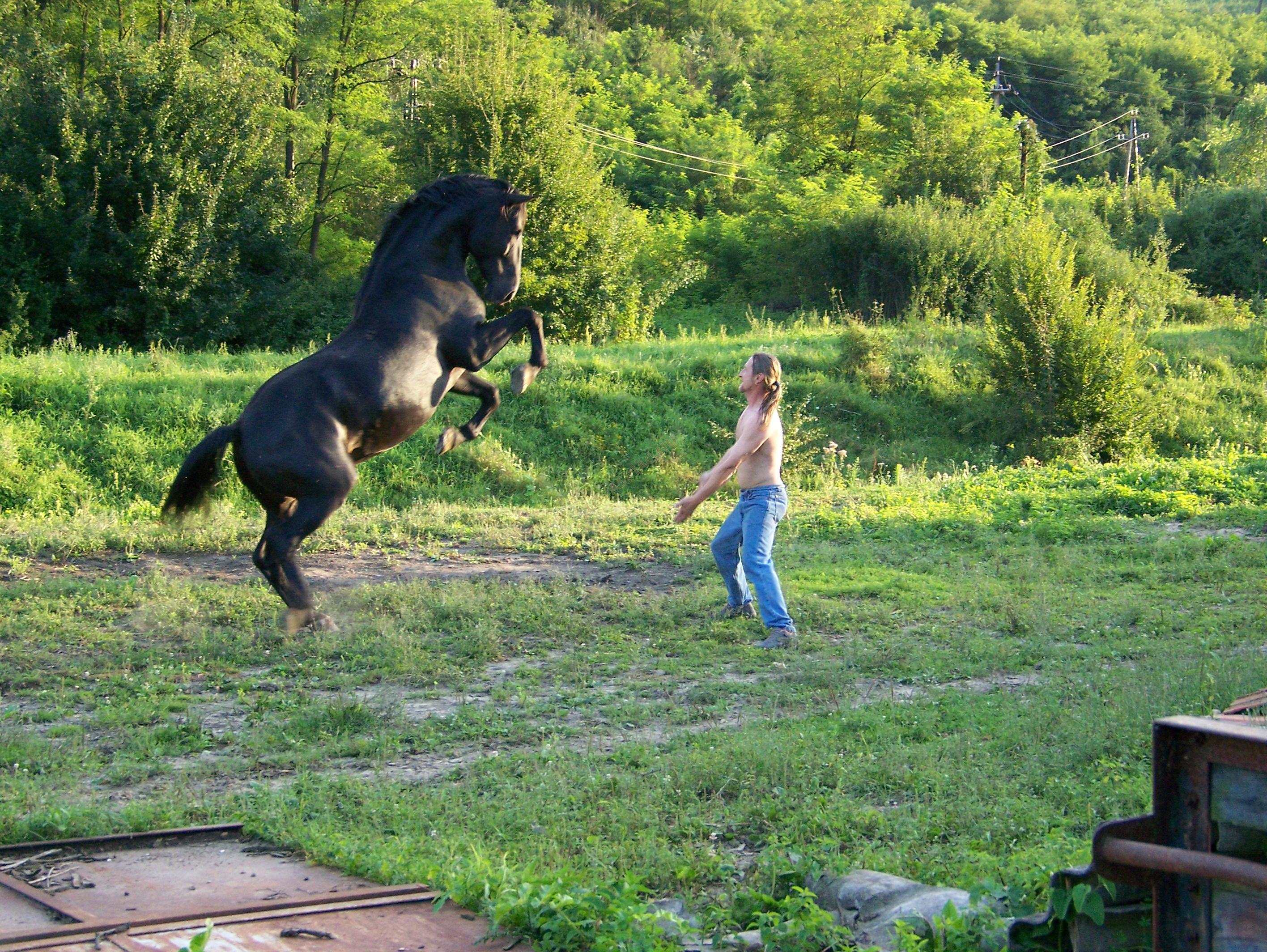LovasPiac.hu