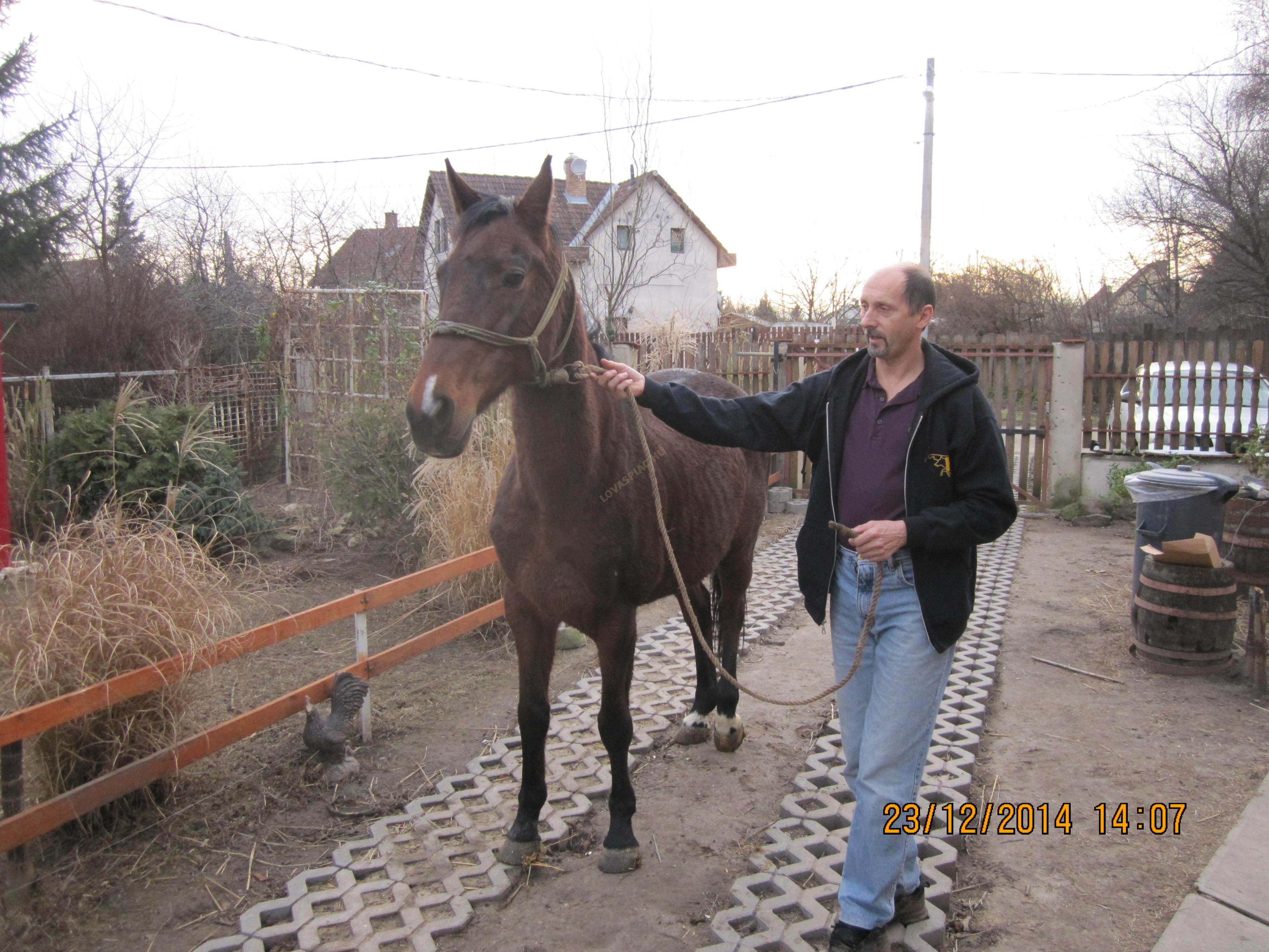 LovasPiac.hu