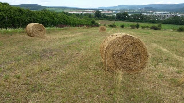 LovasPiac.hu