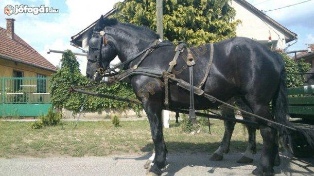 LovasPiac.hu