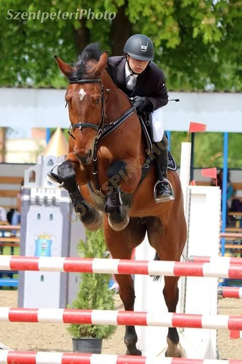 LovasPiac.hu